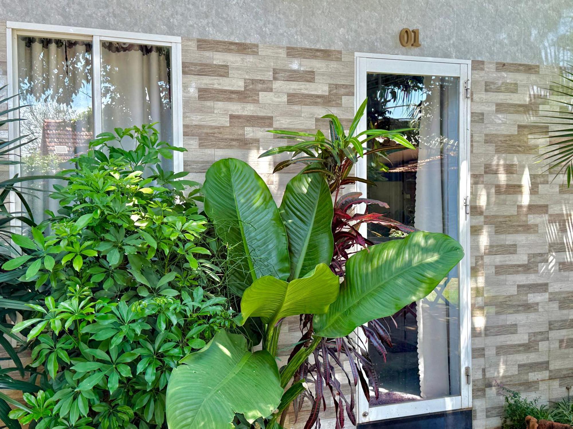 Ho Coc Homestay Exterior photo